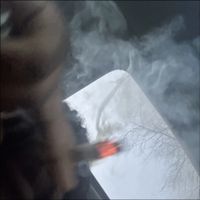 Herb4K - I Hate Jerk Music