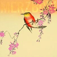 Merzbow - Nine Studies of Ephemeral Resonance Volume 1 - 9