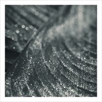 Moss - Moss (Recur)