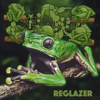 Phyllomedusa - Reglazer (Save The Frogs Day 2019)