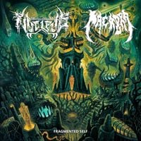 Nucleus - Fragmented Self