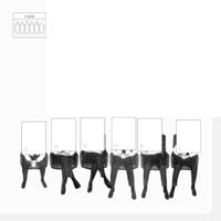 Team Doyobi - Push Chairs for Grown Ups