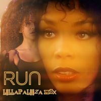 Donna Summer - RUN (Lollapalooza Mix