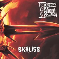 B.A.R.F. - Skaliss