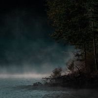 Warmth - The Stillness