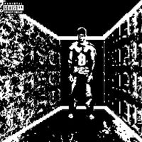 Raj Mahal - DISTURBED