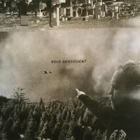 Sole - Destituent