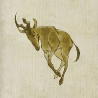 Yaelokre - Hartebeest