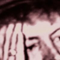 crushed - cwtch