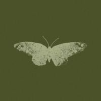 LoVibe. - a good man with a broken heart