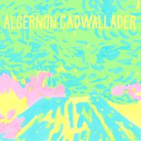 Algernon Cadwallader - Hawk