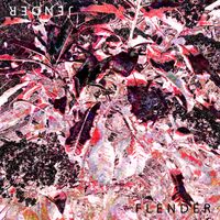 Flender - Jender