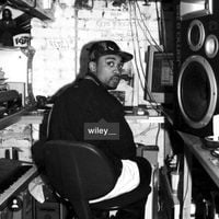 Wiley - Bring Them All / Holy Grime
