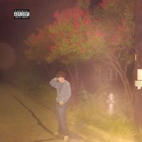 frnces - plastic tombstone