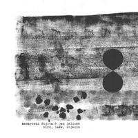 Masayoshi Fujita & Jan Jelinek - Bird, Lake, Objects
