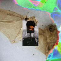 X Drool - everything i touch falls apart into destruction