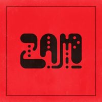 Frankie and the Witch Fingers - ZAM