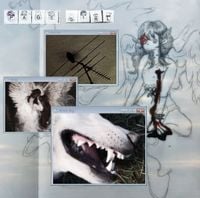 page girl - Carry me along, blind dog