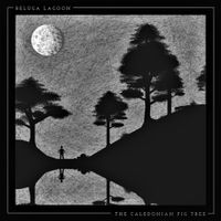 Beluga Lagoon - The Caledonian Fig Tree