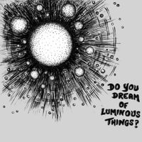 Jamie Parker - Do You Dream of Luminous Things?
