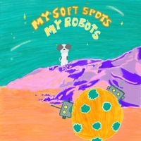 Blanket Approval - My Soft Spots My Robots