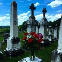 Lil Skies - Red Roses