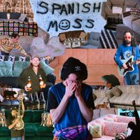 Spanish Moss - Couches