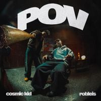 Robleis - POV