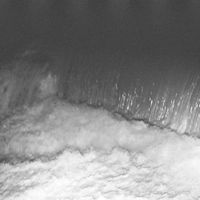 Frail Body - January