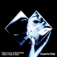 Disco Lines - I Don&rsquo;t Trust A Soul