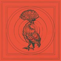 大谷能生 - 動物Z