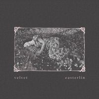 Velvet - Staring (alt)