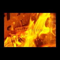 Etienne Liiv - Fireism
