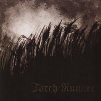 Torch Runner - Colony