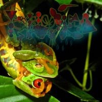 Phyllomedusa - Greener Than Thou