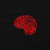 Felperc - cognitive dissonance