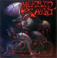 Morbid Saint - Destruction System