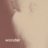 Danger Mouse - Wonder