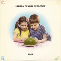 Human Sexual Response - Fig. 14