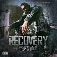 Gorilla Zoe - Recovery