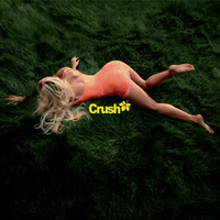 Zara Larsson - Crush
