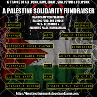 Various Artists - PALESTUNES - Palestine Solidarity Compilation