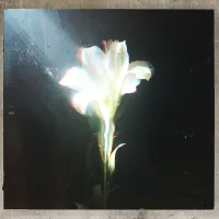 Bebe Rexha - Light That Leads Me