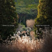 Rebecca Foon - Black Butterflies