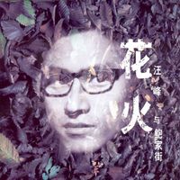 汪峰 - 花火