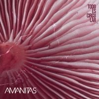 Amanitas - Todo es circular
