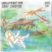 Shye - Woolgatherer's Pond