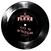 City of Caterpillar - In the Tall Grass