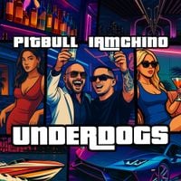 Pitbull - UNDERDOGS