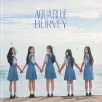 Burvey - AQUA BLUE